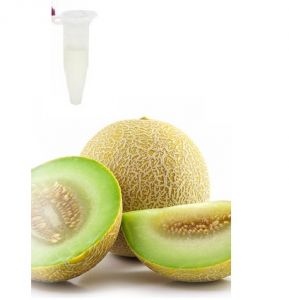Ароматизатор Capella Flavors USA Диня 1 мл ― Eco-Life