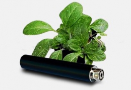 Картомайзера зі смаком TOBACCO